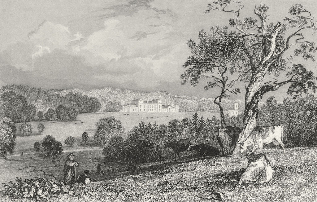 RUTLAND. Normanton Park. Allom 1836 old antique vintage print picture